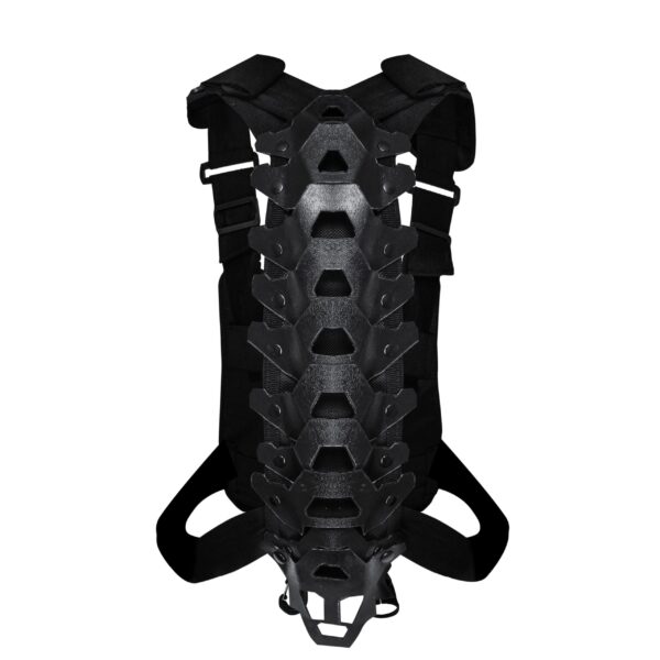 ARNES CON EXOESQUELETO - Image 2